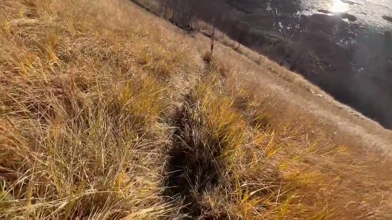 Passionate outdoor sex on the sand dunes of Alaska